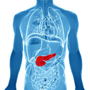 outline-of-organs-with-pancreas-in-solid-red