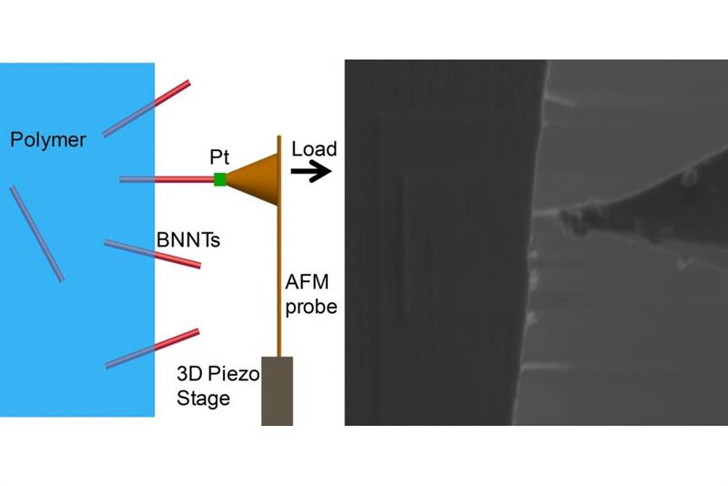 Boron nanotubes are stronger than carbon nanotubes_popup