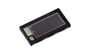 50937027366 e975e697b2 c