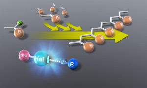 IMAGE Fabricating the Future with a New Environment Friendly Method of Polymerization 1 e1614313299832