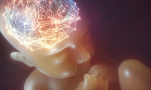 Tinybrainspanthermedia 24217086 e1619586798217