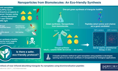 INFOGRAPHIC_Synthesizing Green Gold Nanoparticles for Cancer Therapy with Biomolecules