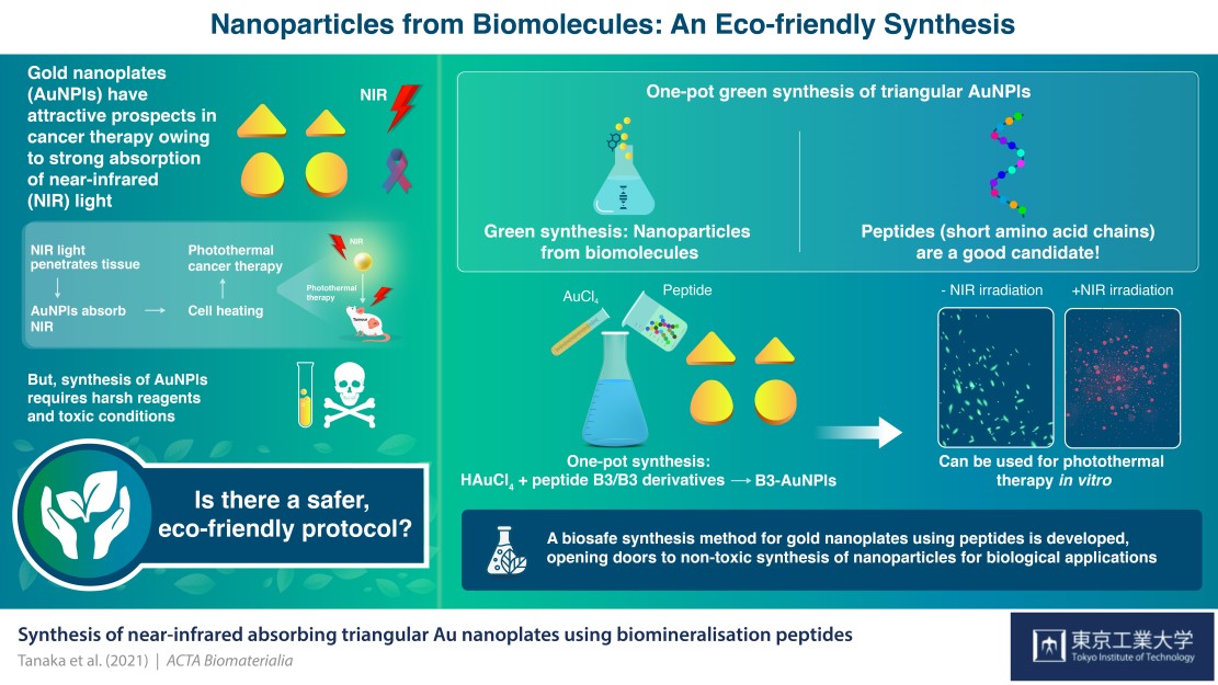 INFOGRAPHIC Synthesizing Green Gold Nanoparticles for Cancer Therapy with Biomolecules e1624970238540