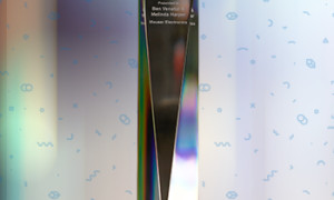 2 epson award 2021 pr 350