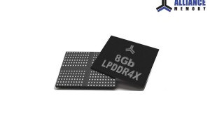 51307249651 256bd9f0b1 c