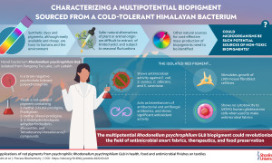 INFOGRAPHIC Researchers from Himachal Report a Novel Bacterial Biopigment with Diverse Applications e1625982566926
