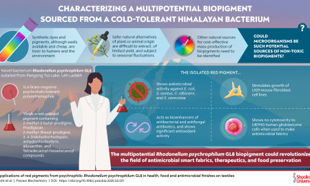 INFOGRAPHIC_Researchers from Himachal Report a Novel Bacterial Biopigment with Diverse Applications