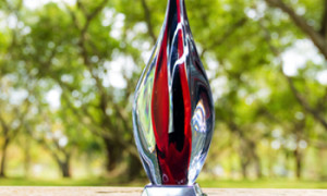 mouser te global dist award pr 350