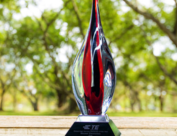 mouser te global dist award pr 350