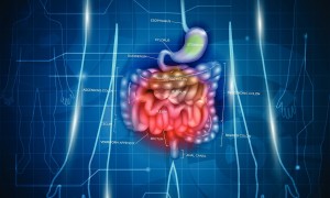 panthermedia B110594240 1748x1732 e1629866272383