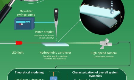 INFOGRAPHIC_Why do raindrops bounce of leaves