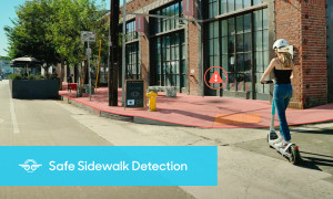 Bird SafeSidewalkDetection e1634211398531