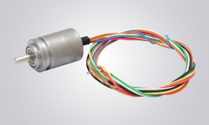 51998403708 e9f2537ca6 c 1