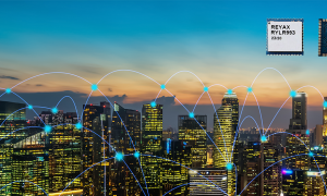 RYLR993 press picture e1663235587600