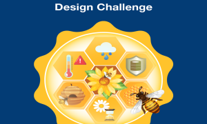 FAR 867 Inline Image e1668773012418