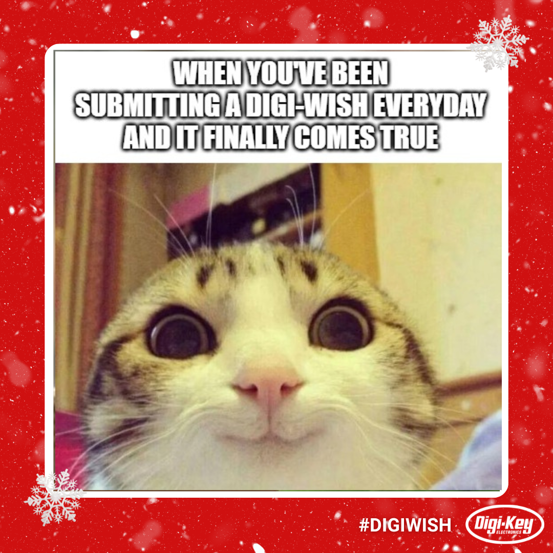 DigiWish4