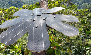 Rainforest Connection 01 e1672654526224