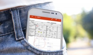 rsb127a fig3.jpg ico500