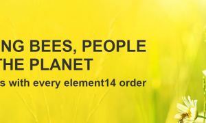 STB Banner APAC e1687948439538