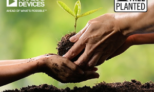 adi one tree planted us 350x350