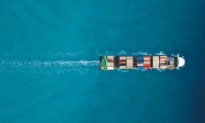 0cf729e0 2550 4d8b 912e 6a309eb30c7f