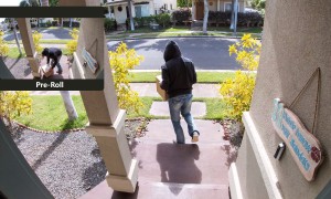 OV Color Prerolling Figure e1692167929163