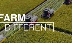 2700x1000 PR farm different S3