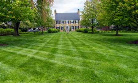 u blox lawn 1 e1714145231627