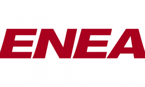 enea vector logo