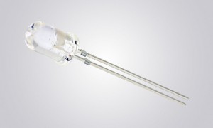 53858828563 92d1b010e5 c