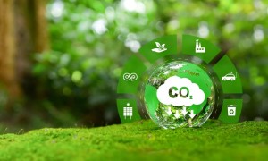 Blog Article Image AdobeStock Adobe Stock 543851853