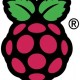 rasbery2 logo