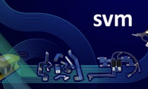 SVM vignette headline homepage website.jpg ico500 1