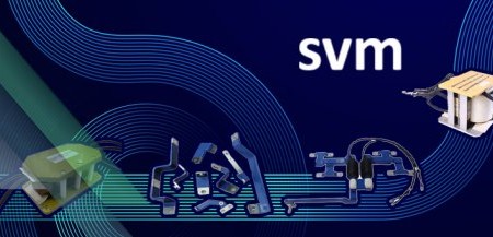 SVM vignette headline homepage website.jpg ico500 1