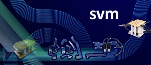 SVM vignette headline homepage website.jpg ico500 1