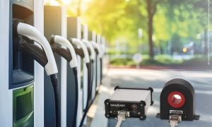 PRDanisense lowres e1734363426982