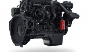 N67 NG VISTE0095a.jpg ico400