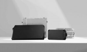 Phoenix photo LR e1737527493489 1