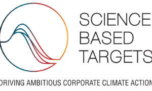 SBT 1 e1739165853978