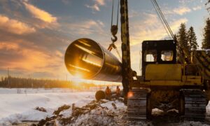 image 1 1 e1739172755859