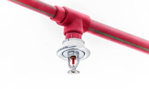 image 1 e1738381811424