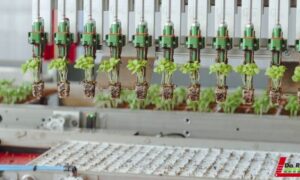 1transplanter setzlinge Da Ros01.jpg ico500