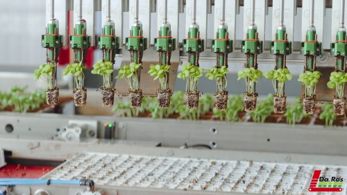 1transplanter setzlinge Da Ros01.jpg ico500