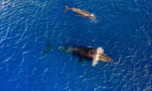 Blog Article Image AdobeStock Adobe Stock 298637256 jpg