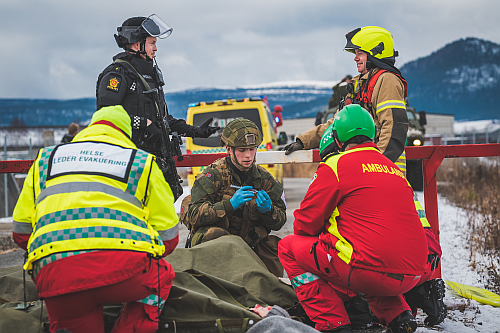 Photo The Norwegian Armed Forces small (1)