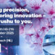 Precision fair nl 2025 linkedin